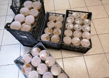 Μία Μέρα Αλληλεγγύης