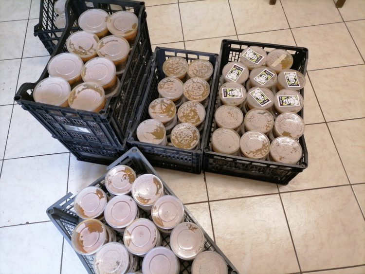 Μία Μέρα Αλληλεγγύης