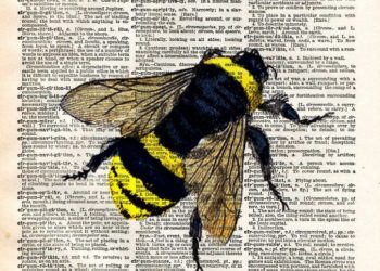 Πώς μπορούν να δουλέψουν οι μέλισσες; Tο μέλι πάντως μετράει!