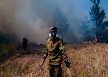 Δεν είναι φυσική καταστροφή, είναι εγκληματική πολιτική. Για ένα νέο μοντέλο δασοπροστασίας