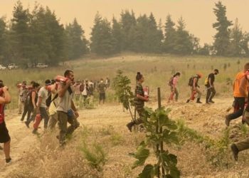 Αποστολή στη Βόρεια Εύβοια!