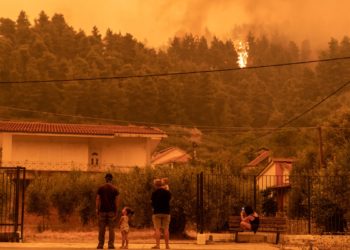 Τί γυρεύουν οι ανάδοχοι στα δάση;