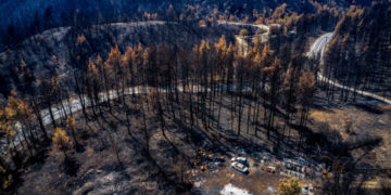 Τί γυρεύει η Eren στη Βόρεια Εύβοια;