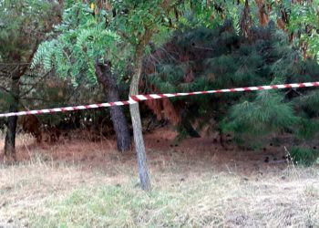 Οι απαγορεύσεις βλάπτουν τα δάση