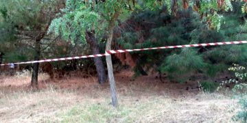 Οι απαγορεύσεις βλάπτουν τα δάση