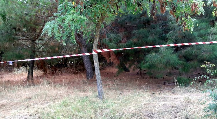 Οι απαγορεύσεις βλάπτουν τα δάση